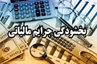 تسهیلات جدید بخشودگی جرایم مالیاتی برای مودیان فارس اعلام شد